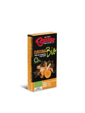 ORGANIC VEGETABLE STOCK-CUBES WITH TURMERIC 2.11 OZ.