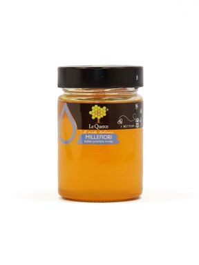 WILD FLOWERS ORGANIC HONEY 14.1 oz